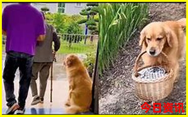 黑龙江旅游景点大全