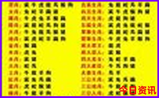 70岁以上老人游黄山线路